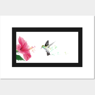 Humming Bird Posters and Art